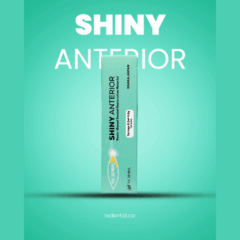 SHINY ANTERIOR